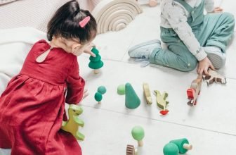 “Use of Toys That Grow With Your Child: Multi-Stage Toys That Offer Long-Term Fun and Learning”